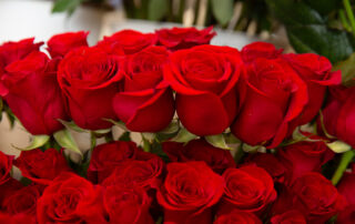 Garden Roses, Long Stem Roses, Spray Roses