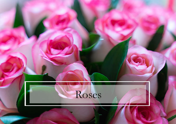 Hicksville Florist, Flower Shop Hicksville NY, Fresh Cut Flowers