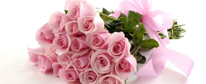 Pink Roses for Mother's Day