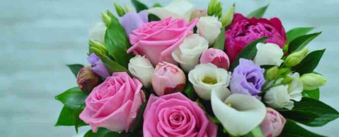 Summer Birthday Flowers