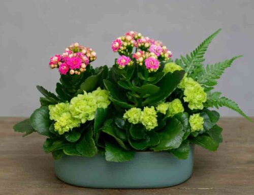 Celebrate the Season with Fall-Inspired Floral Arrangements